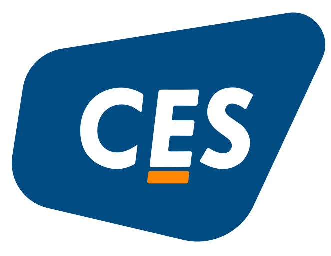 CES Information Technologies