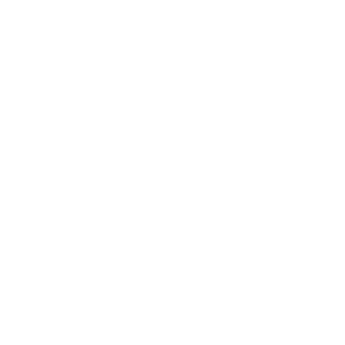 Healthcare Service Providers